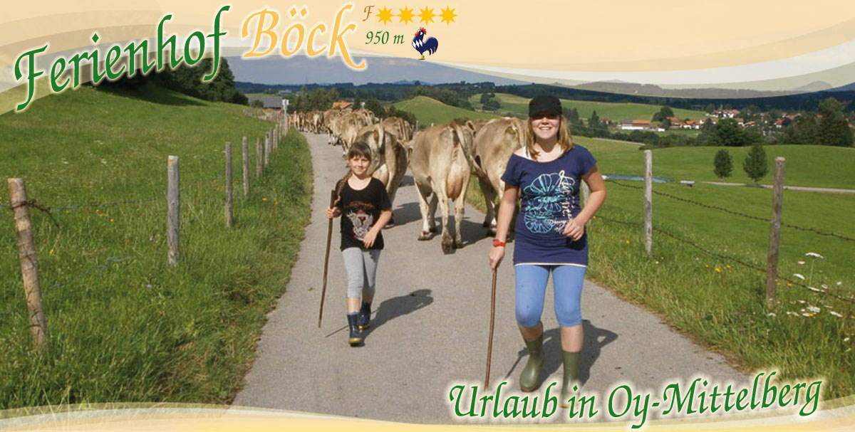 Unsere Tiere - Ferienhof Böck in Oy-Mittelberg